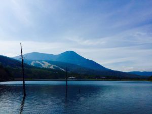 【町営住宅】細谷団地B棟（特定公共賃貸住宅）入居者募集のお知らせ